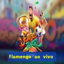 flamengo ao vivo hd play